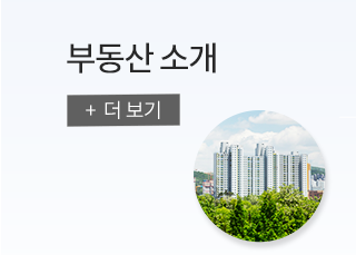 선수촌공인중개사사무소사업개요